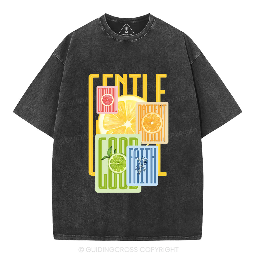 Fruit Of The Spirit Christian Washed T-Shirt