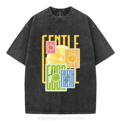 Fruit Of The Spirit Christian Washed T-Shirt