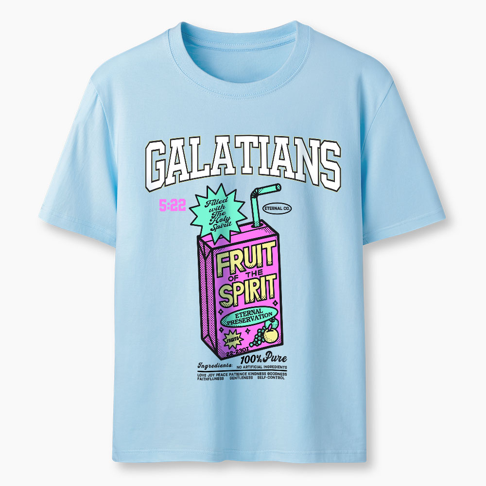 Fruit Of The Spirit Christian Washed T-Shirt