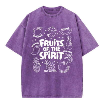 Fruit Of The Spirit Christian Washed T-Shirt