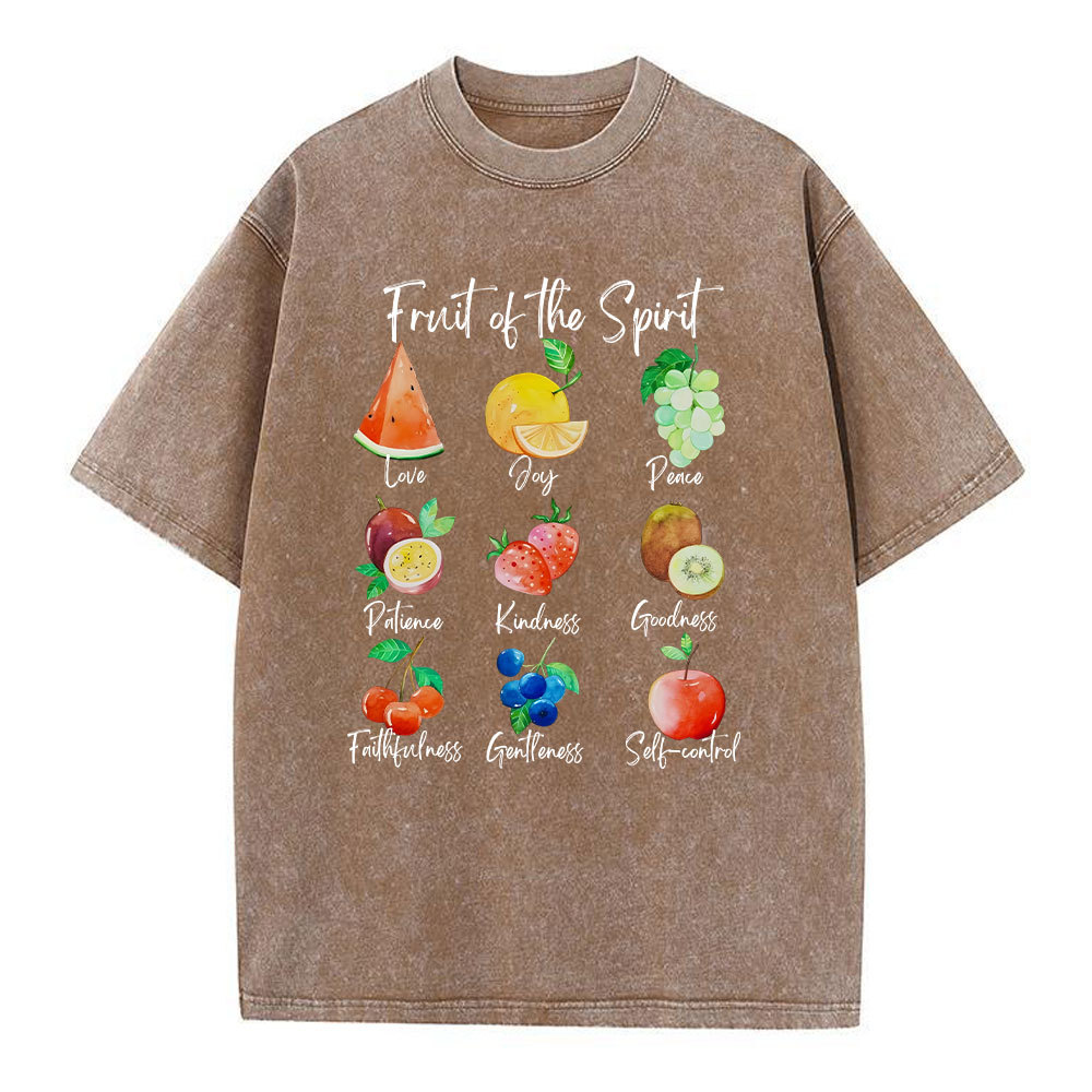 Fruit Of The Spirit Christian Washed T-Shirt