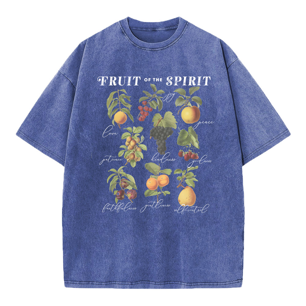Fruit Of The Spirit Christian Washed T-Shirt