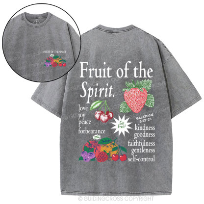 Fruit Of The Spirit Christian Washed T-Shirt