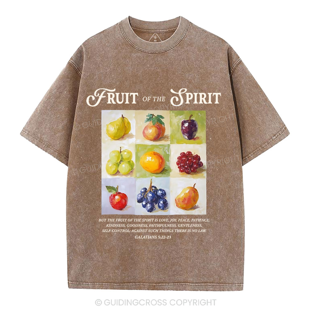 Fruit Of The Spirit Christian Washed T-Shirt