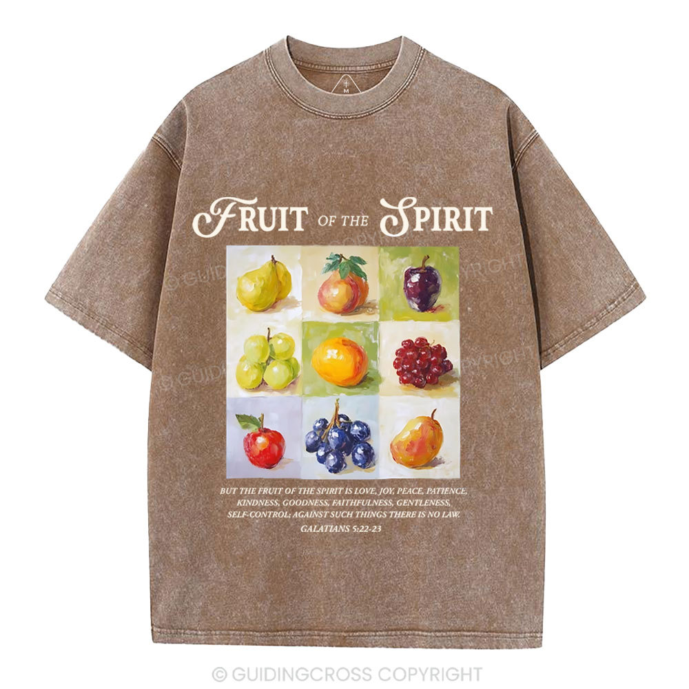 Fruit Of The Spirit Christian Washed T-Shirt