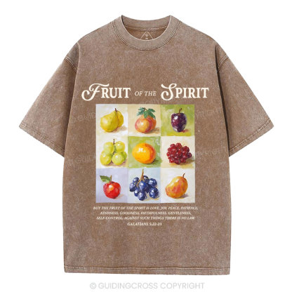 Fruit Of The Spirit Christian Washed T-Shirt