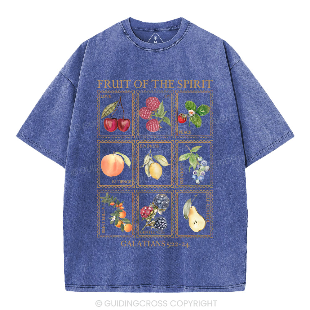 Fruit Of The Spirit Christian Washed T-Shirt
