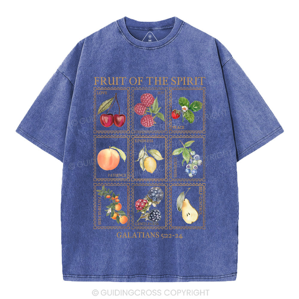 Fruit Of The Spirit Christian Washed T-Shirt