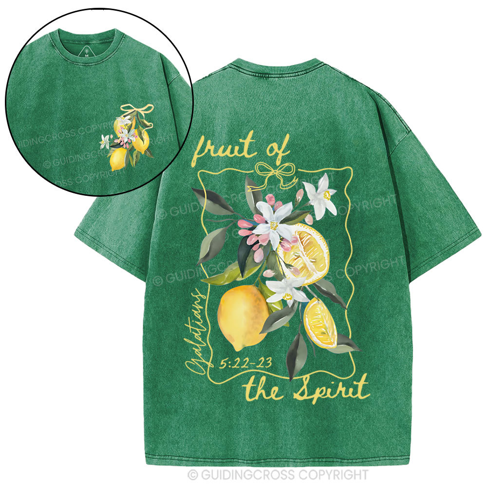 Fruit Of The Spirit Christian Washed T-Shirt