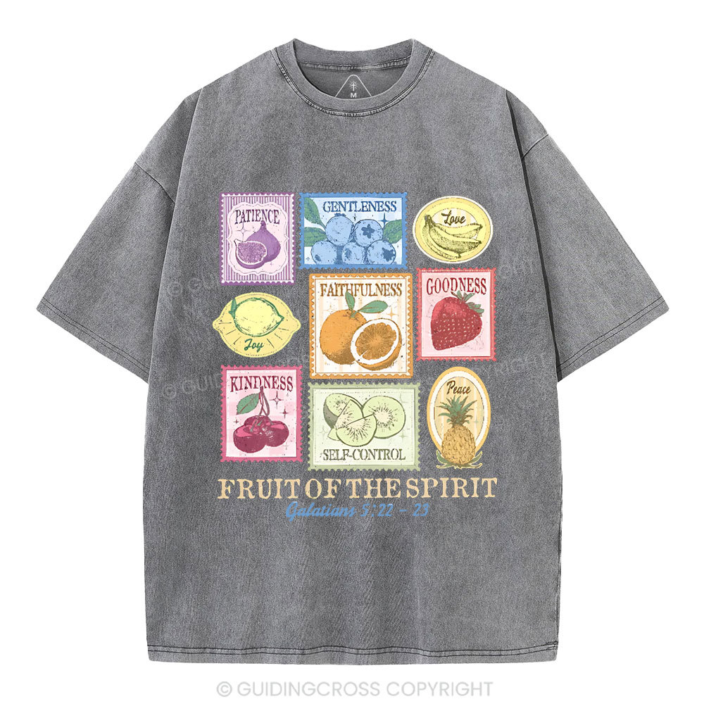 Fruit Of The Spirit Christian Washed T-Shirt