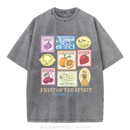Fruit Of The Spirit Christian Washed T-Shirt