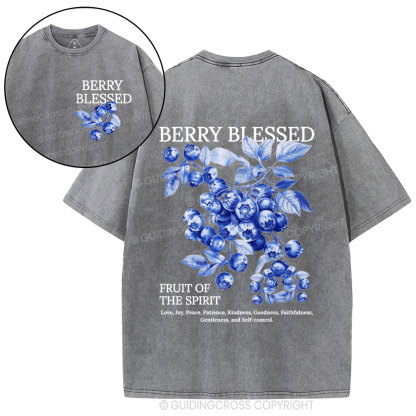 Fruit Of The Spirit Christian Washed T-Shirt