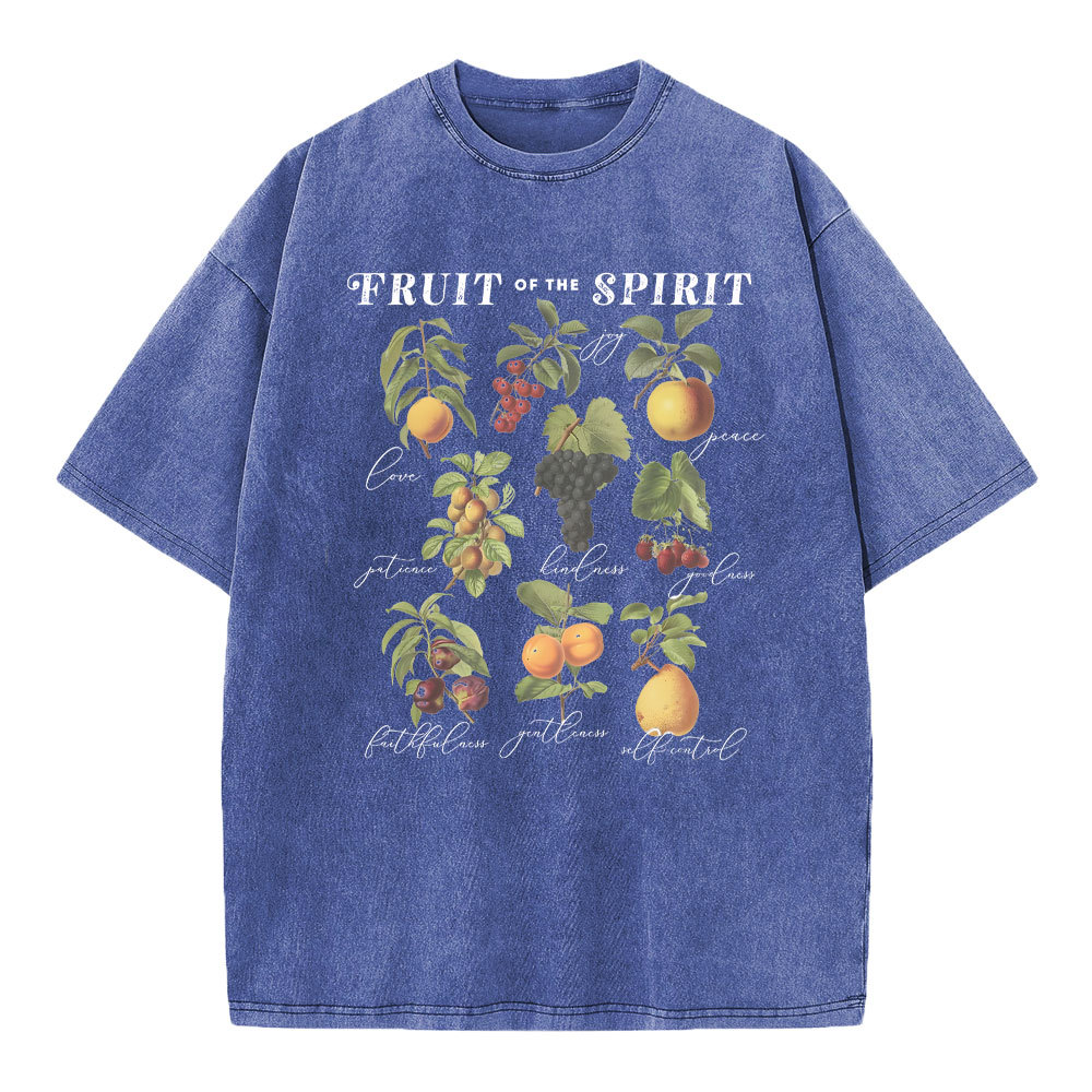 Fruit Of The Spirit Christian Washed T-Shirt