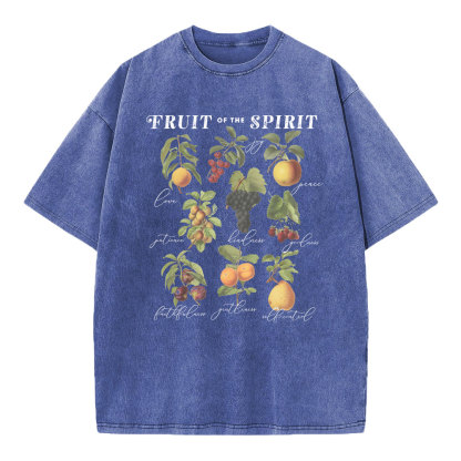 Fruit Of The Spirit Christian Washed T-Shirt