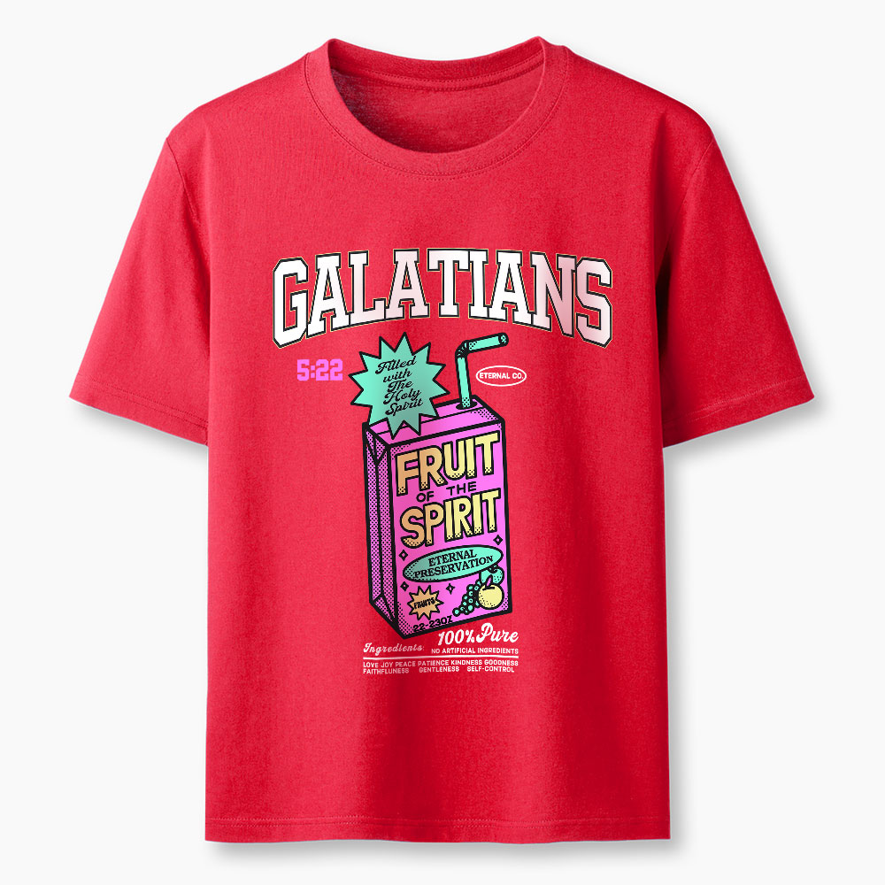 Fruit Of The Spirit Christian Washed T-Shirt