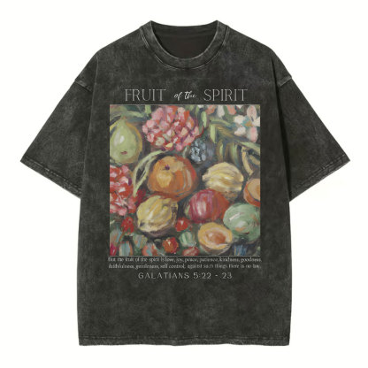 Fruit Of The Spirit Christian Washed T-Shirt