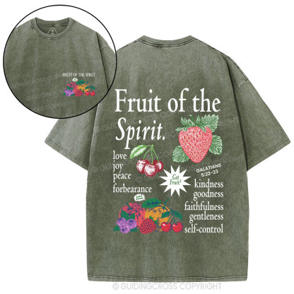 Fruit Of The Spirit Christian Washed T-Shirt