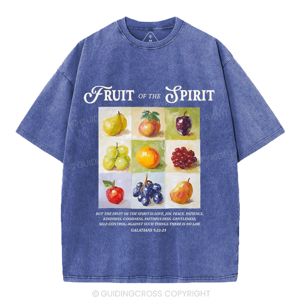 Fruit Of The Spirit Christian Washed T-Shirt