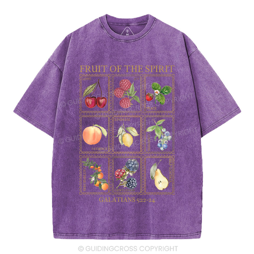Fruit Of The Spirit Christian Washed T-Shirt