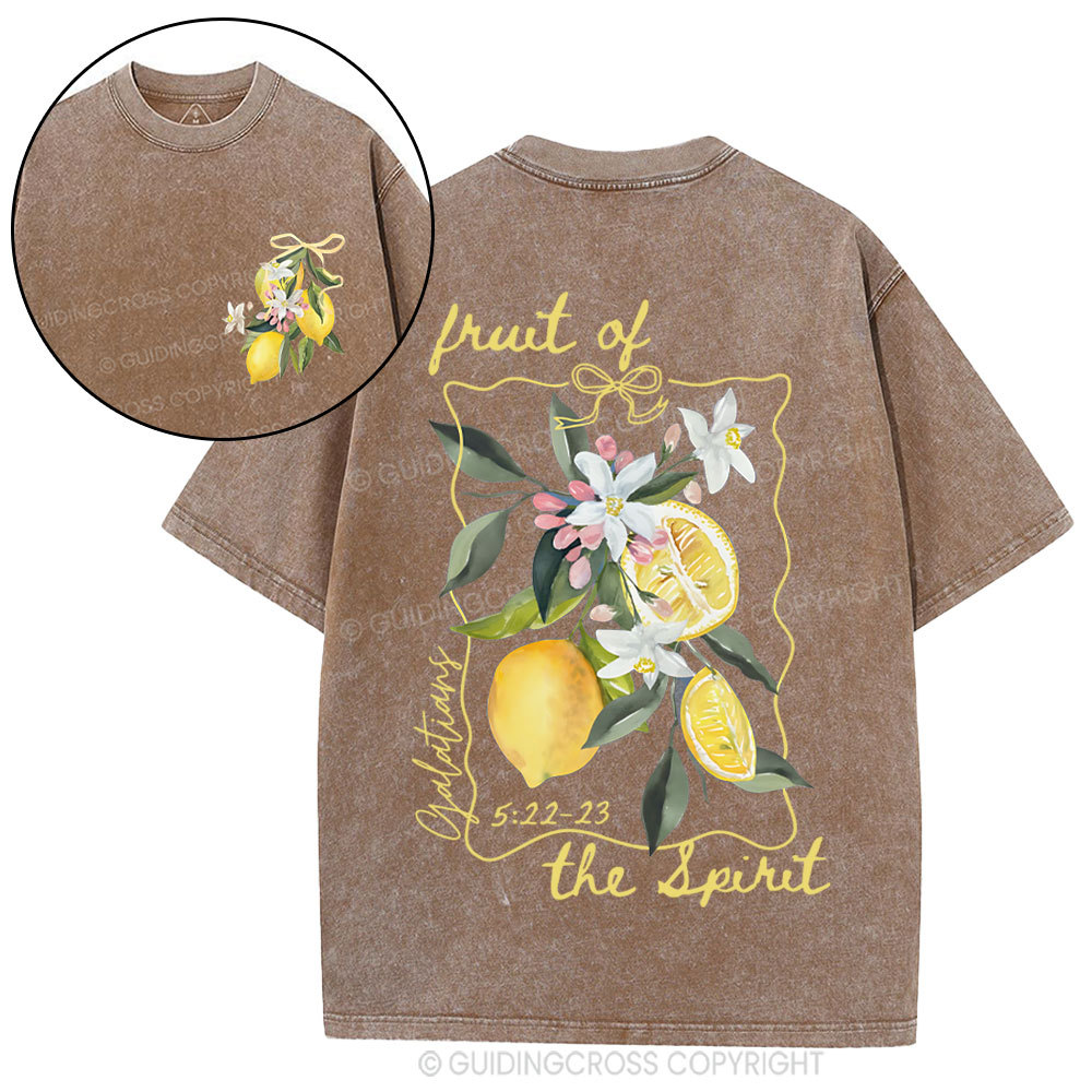 Fruit Of The Spirit Christian Washed T-Shirt