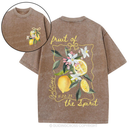 Fruit Of The Spirit Christian Washed T-Shirt
