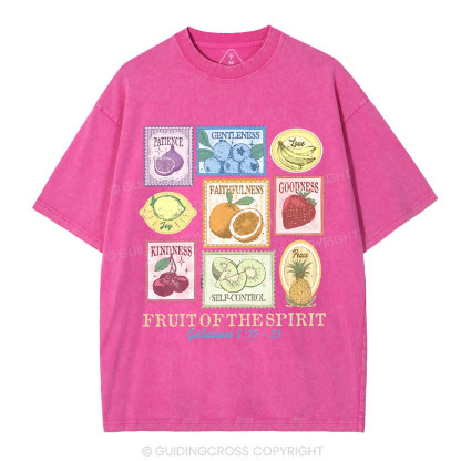 Fruit Of The Spirit Christian Washed T-Shirt