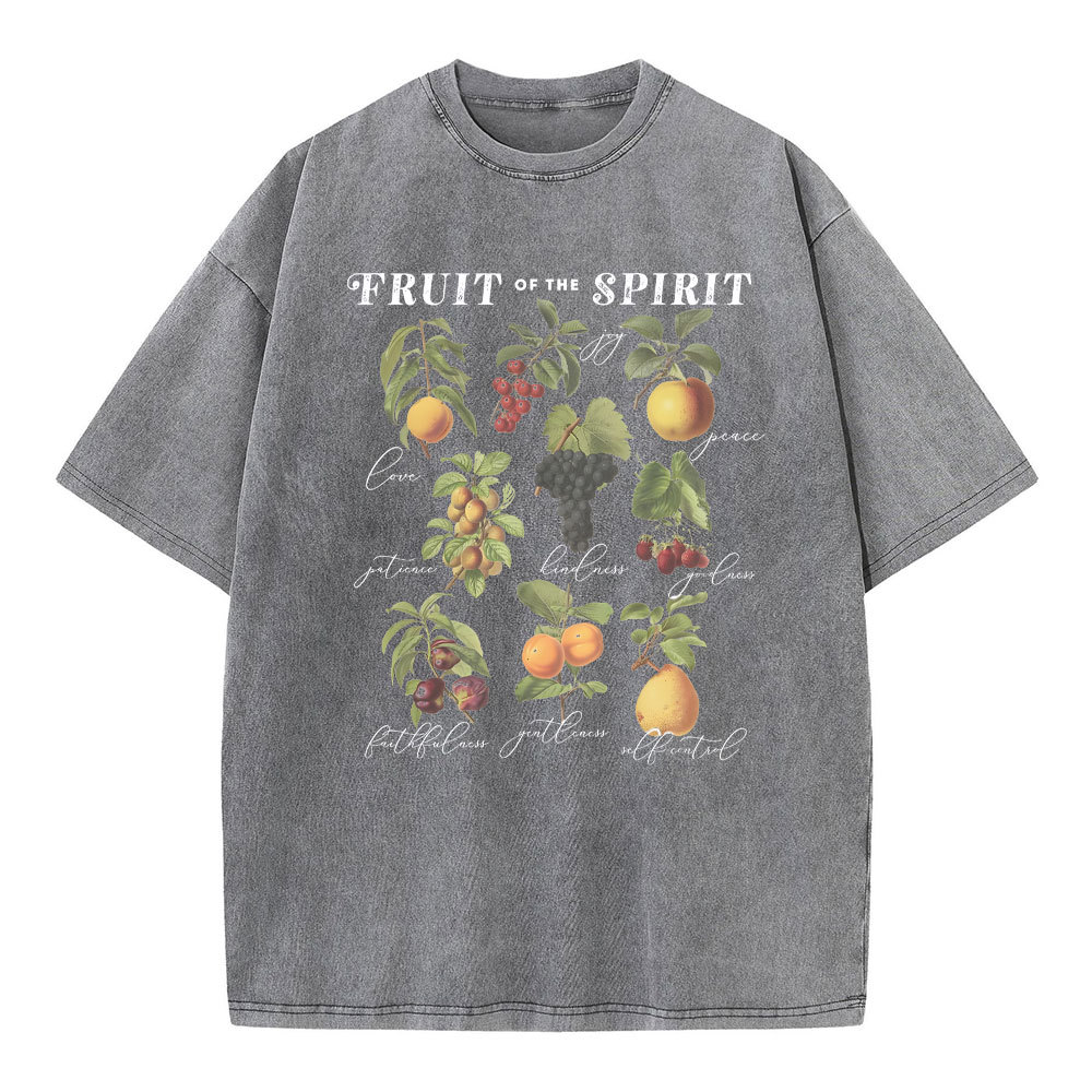 Fruit Of The Spirit Christian Washed T-Shirt