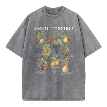 Fruit Of The Spirit Christian Washed T-Shirt