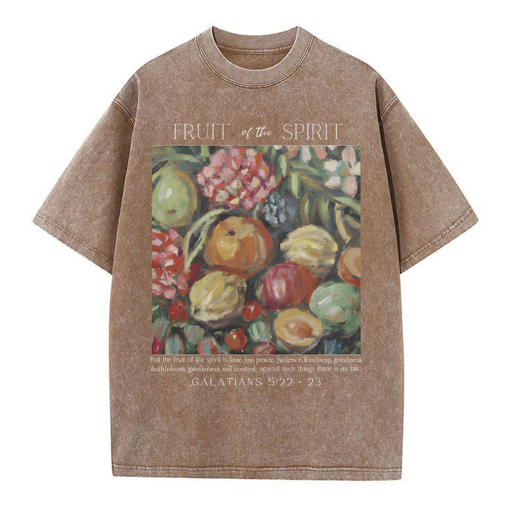 Fruit Of The Spirit Christian Washed T-Shirt