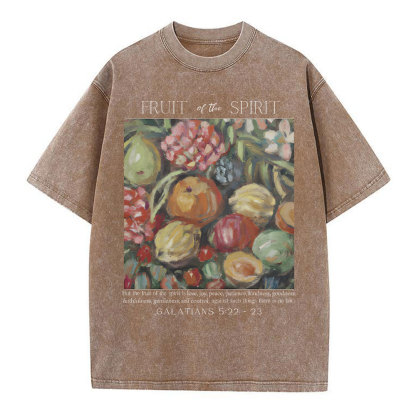 Fruit Of The Spirit Christian Washed T-Shirt