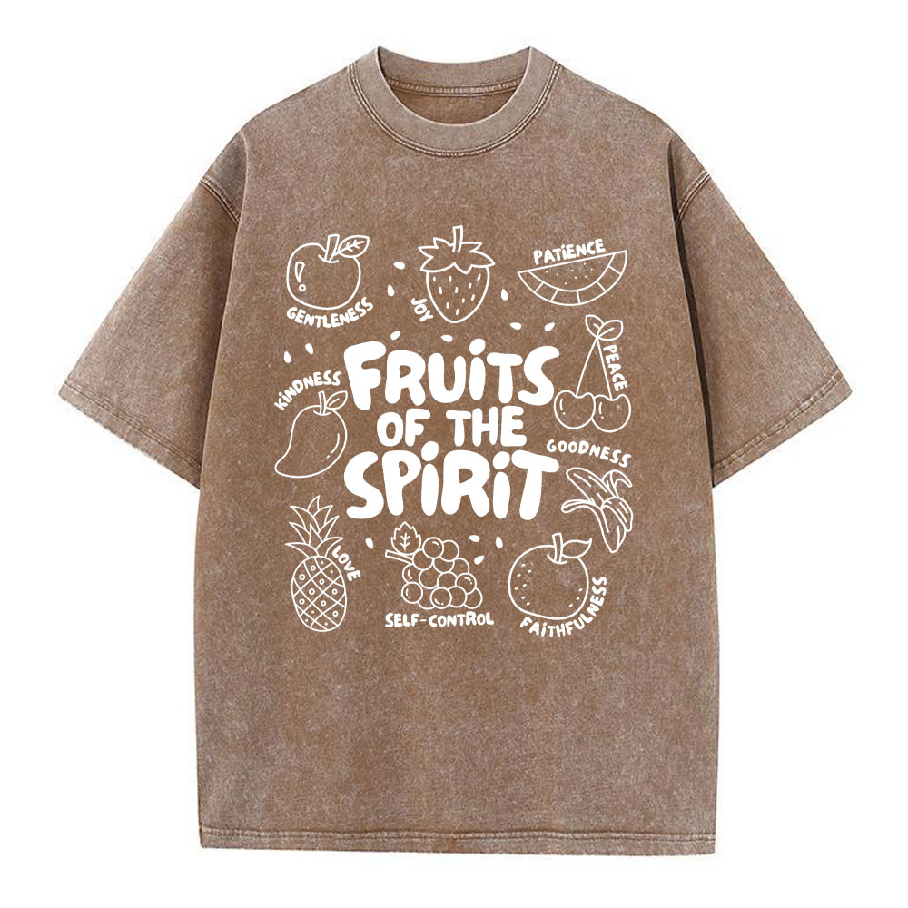 Fruit Of The Spirit Christian Washed T-Shirt