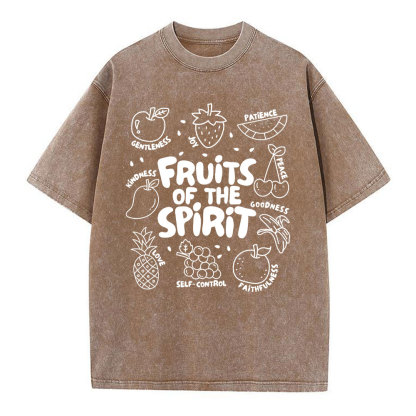 Fruit Of The Spirit Christian Washed T-Shirt