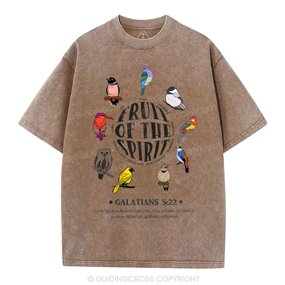 Fruit Of The Spirit Christian Washed T-Shirt