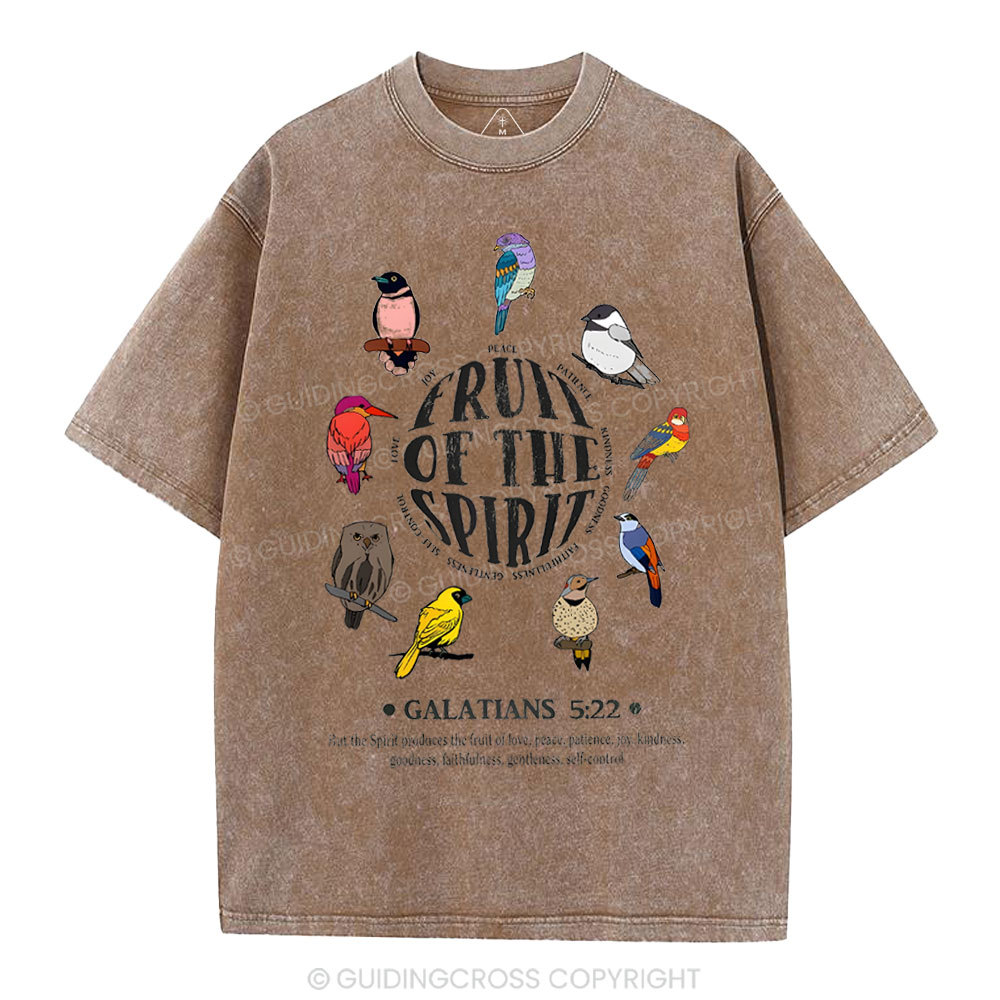 Fruit Of The Spirit Christian Washed T-Shirt