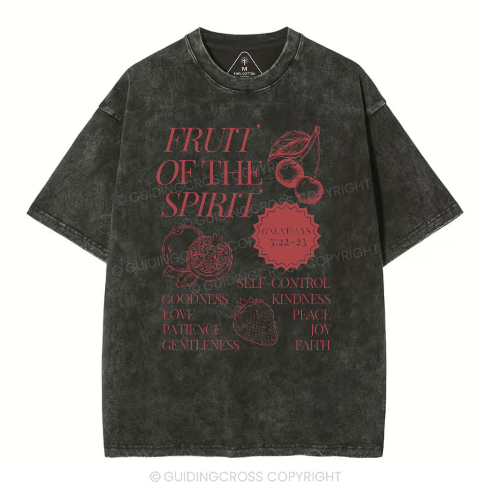 Fruit Of The Spirit Christian Washed T-Shirt