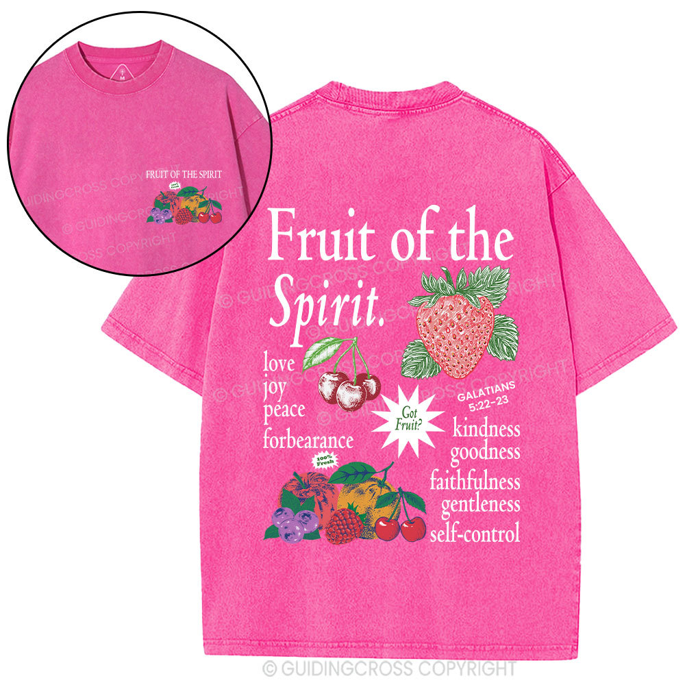 Fruit Of The Spirit Christian Washed T-Shirt