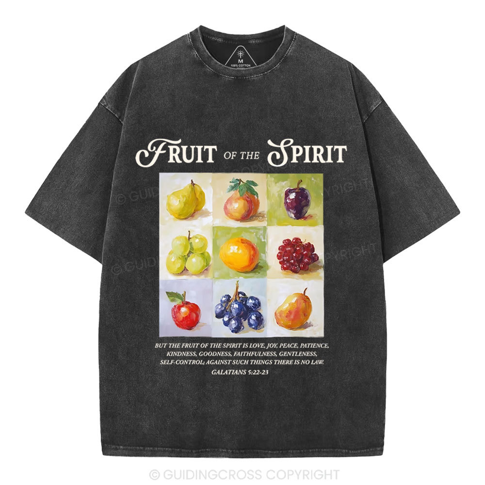 Fruit Of The Spirit Christian Washed T-Shirt