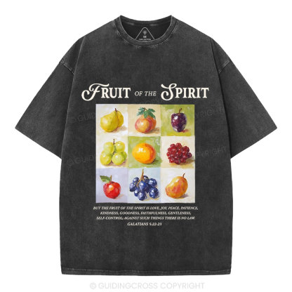 Fruit Of The Spirit Christian Washed T-Shirt