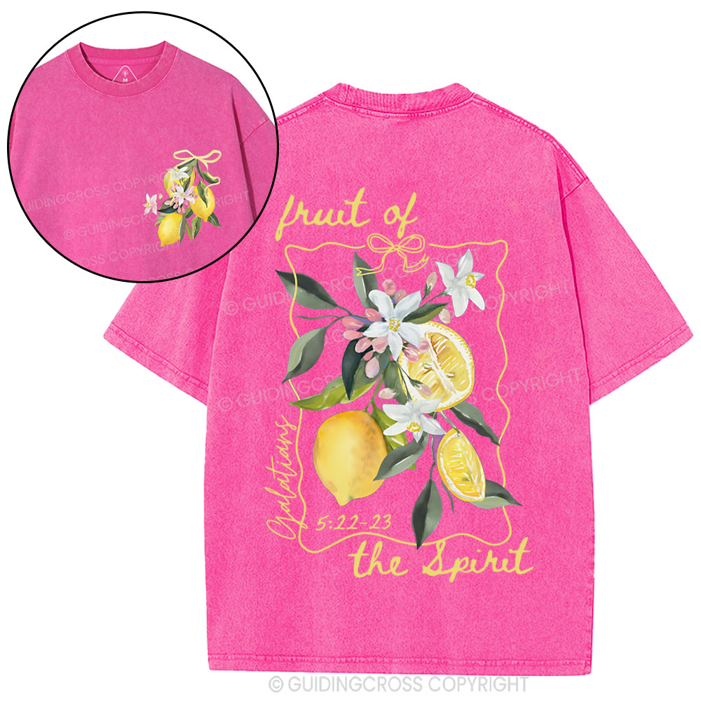 Fruit Of The Spirit Christian Washed T-Shirt