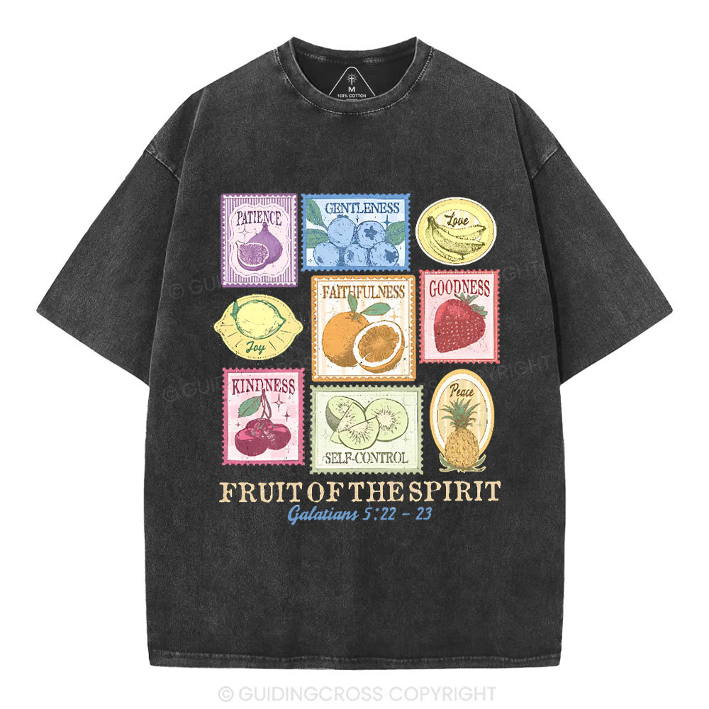Fruit Of The Spirit Christian Washed T-Shirt