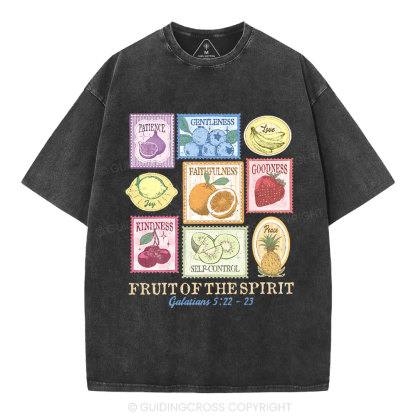 Fruit Of The Spirit Christian Washed T-Shirt