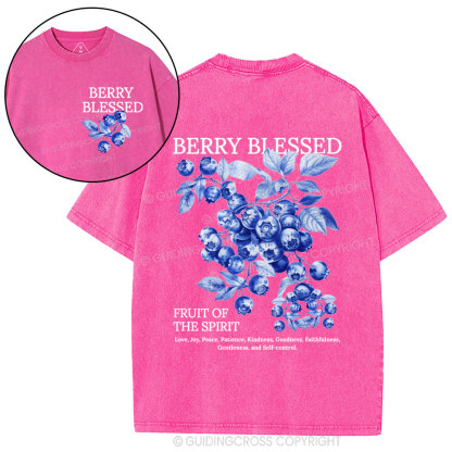Fruit Of The Spirit Christian Washed T-Shirt