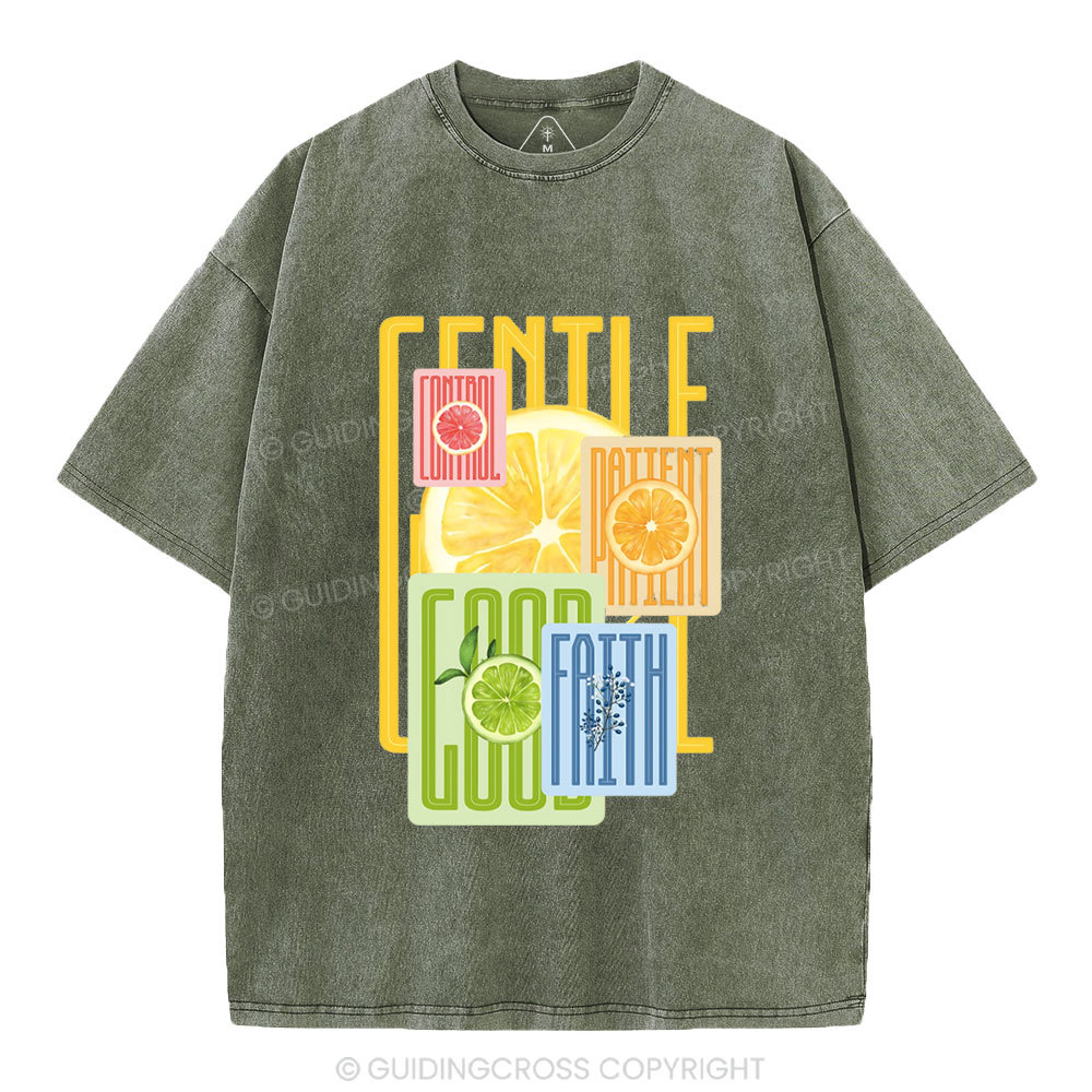 Fruit Of The Spirit Christian Washed T-Shirt