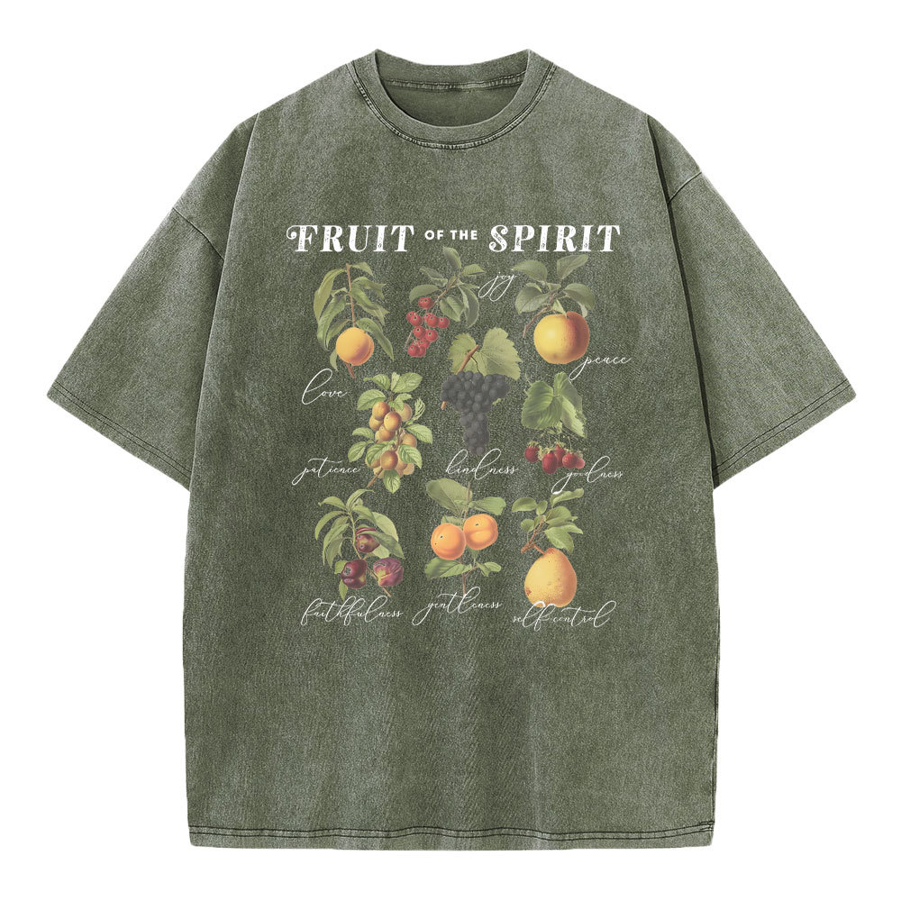 Fruit Of The Spirit Christian Washed T-Shirt