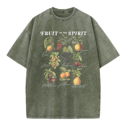 Fruit Of The Spirit Christian Washed T-Shirt
