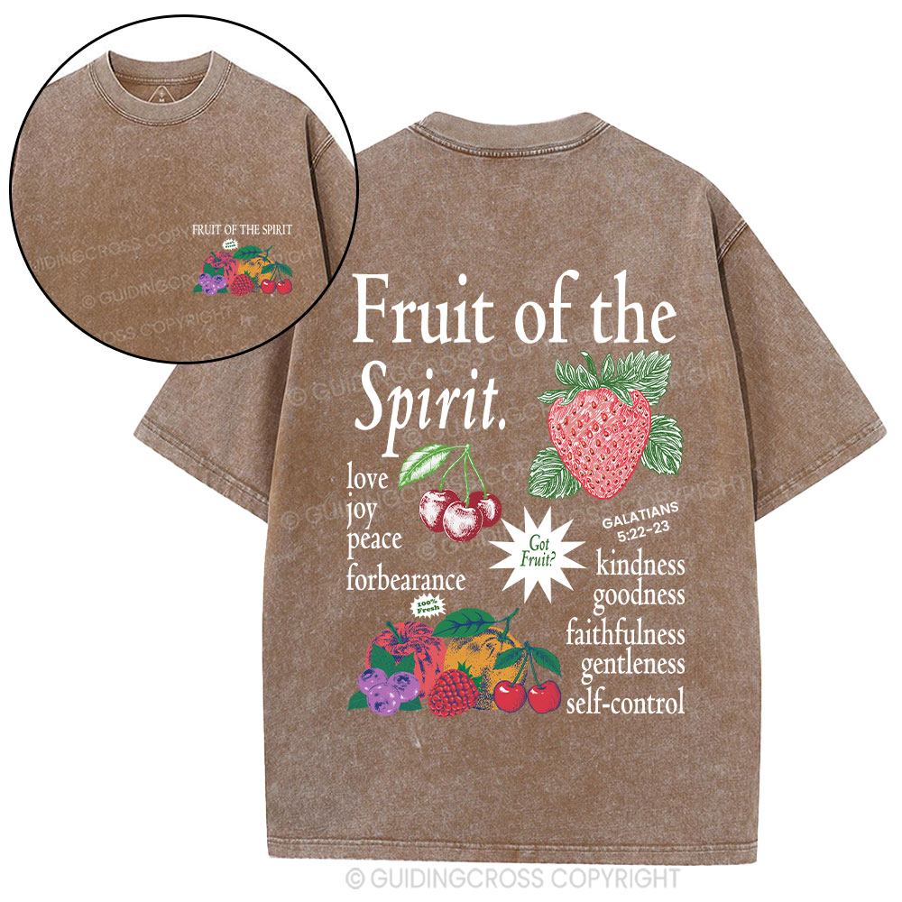 Fruit Of The Spirit Christian Washed T-Shirt