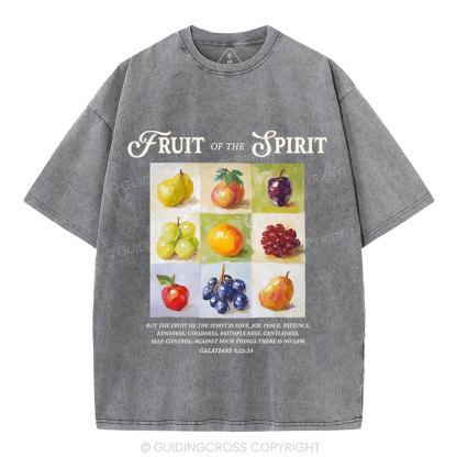 Fruit Of The Spirit Christian Washed T-Shirt