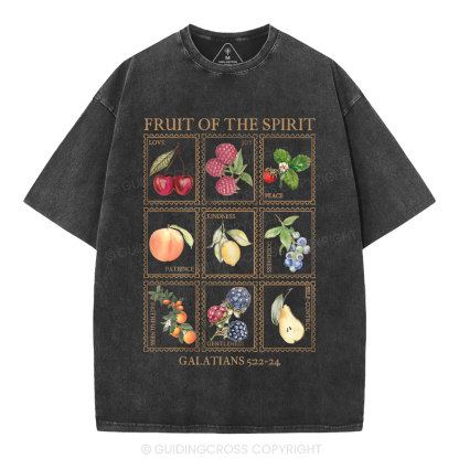Fruit Of The Spirit Christian Washed T-Shirt