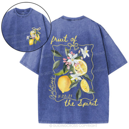 Fruit Of The Spirit Christian Washed T-Shirt