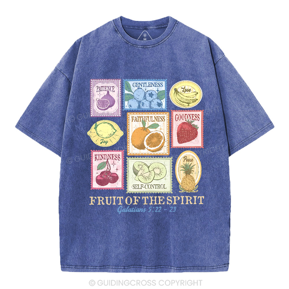 Fruit Of The Spirit Christian Washed T-Shirt